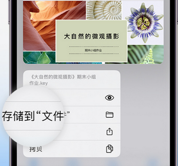 南芬apple维修中心分享iPhone文件应用中存储和找到下载文件
