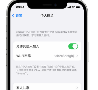 南芬apple服务站点分享iPhone上个人热点丢失了怎么办 