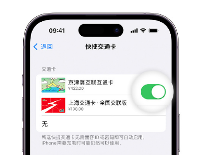 南芬apple维修点分享iPhone上更换Apple Pay快捷交通卡手绘卡面 