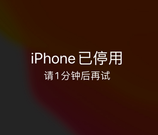 南芬苹果手机维修分享:iPhone 显示“不可用”或“已停用”怎么办？还能保留数据吗？ 