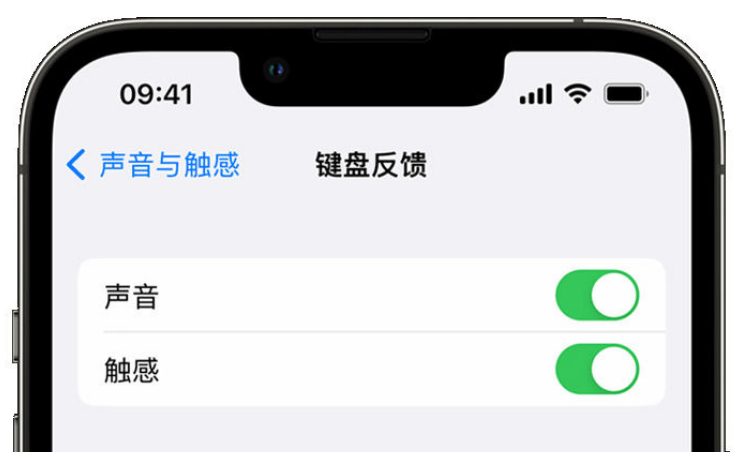 南芬苹果手机维修分享iPhone 14触感键盘使用方法 