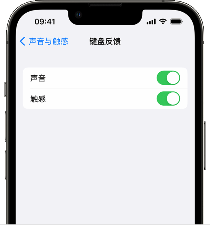 南芬苹果14维修店分享如何在 iPhone 14 机型中使用触感键盘 