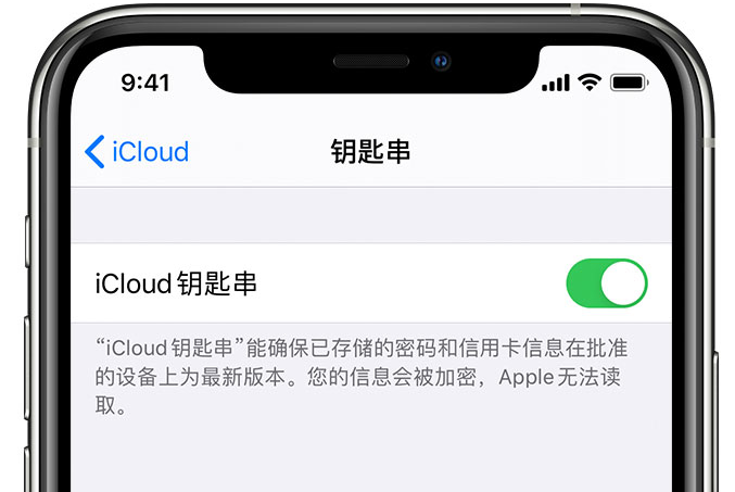 南芬苹果手机维修分享在 iPhone 上开启 iCloud 钥匙串之后会储存哪些信息 