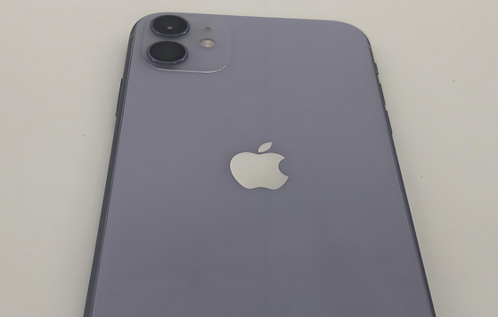南芬苹果11系统维修分享iPhone11手机系统崩溃无法开机如何解决 